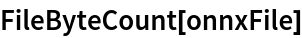 FileByteCount[onnxFile]